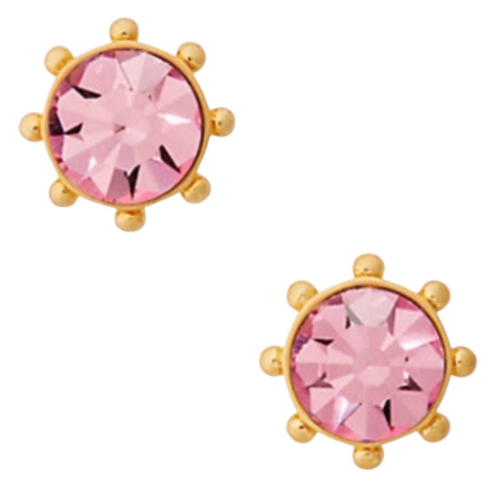 KATE SPADE • Blush Flying Colors Bezel Earrings